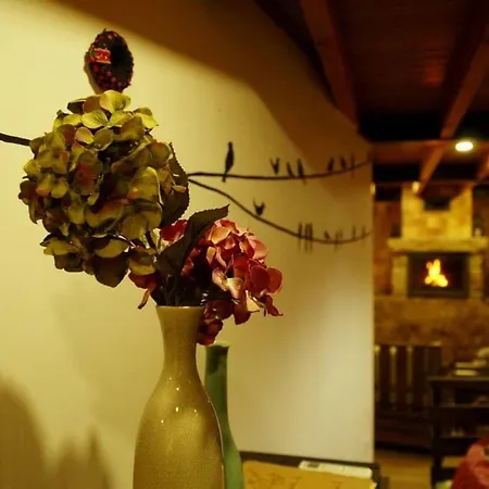 O Cantinho Da Ana Prázdninový dům *