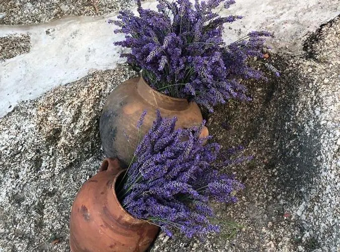 Dom wakacyjny O Cantinho Da Ana