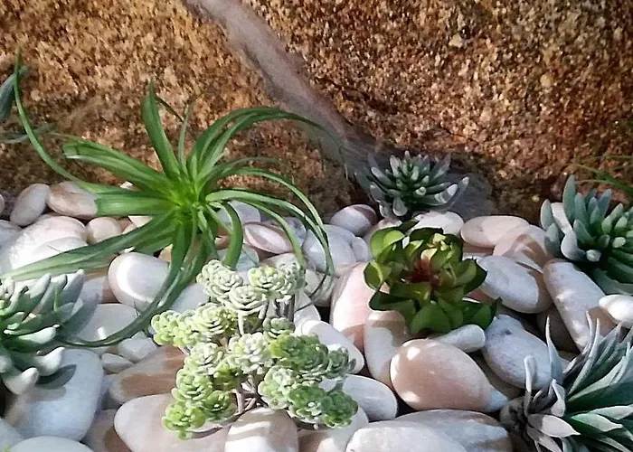 O Cantinho Da Ana Dom wakacyjny Sortelha